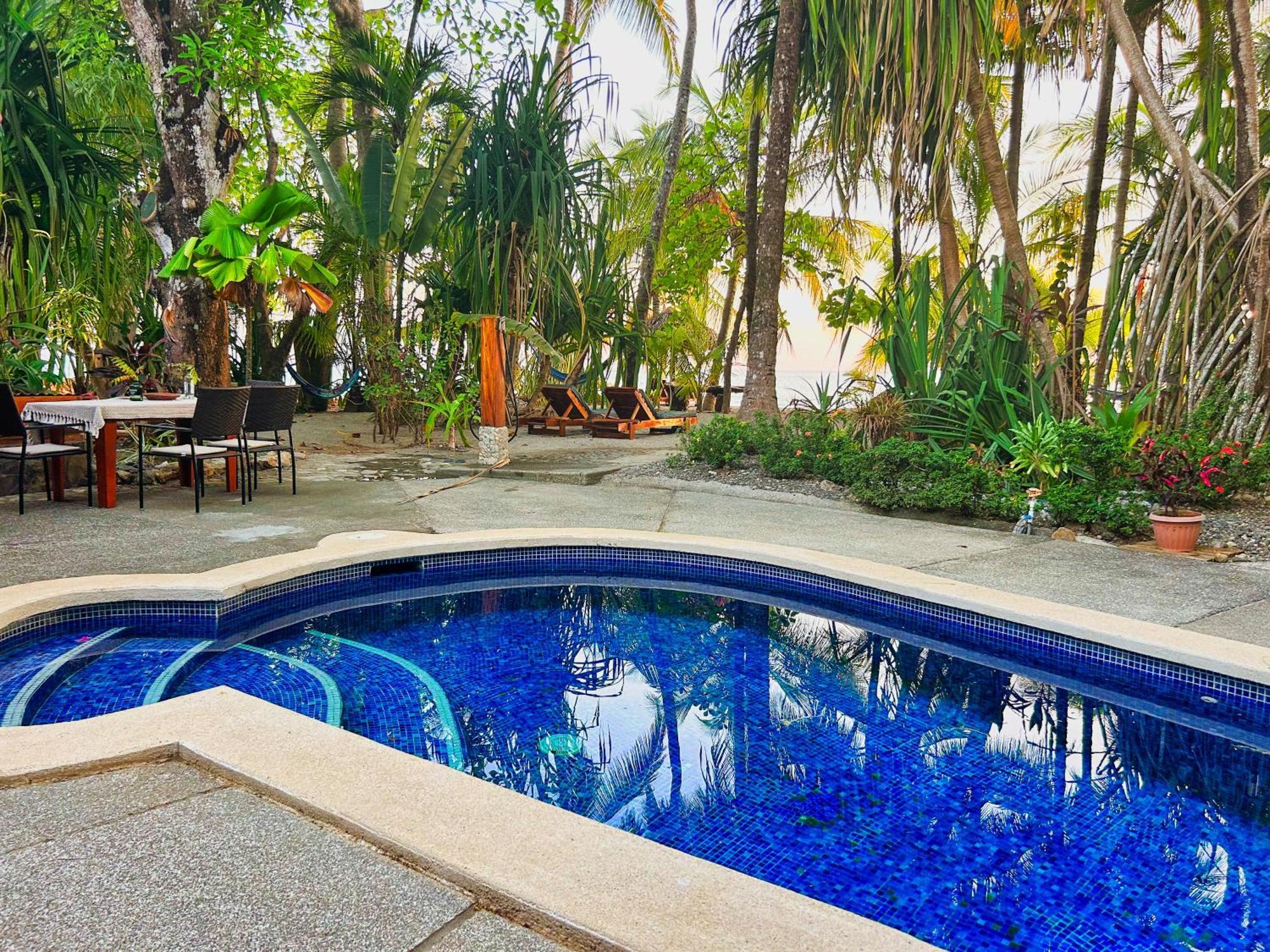 Fenix Hotel - On The Beach Sámara المظهر الخارجي الصورة