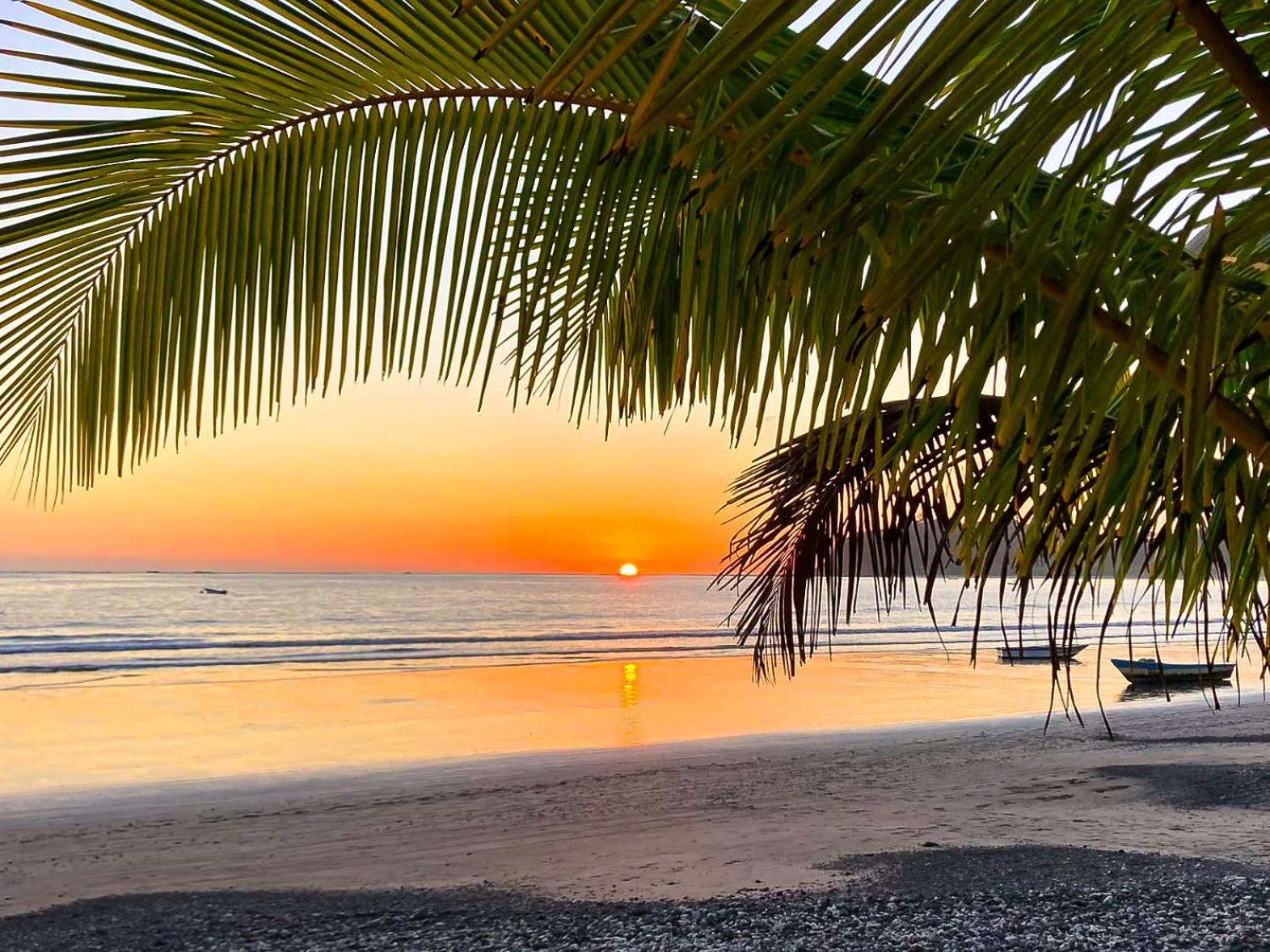 Fenix Hotel - On The Beach Sámara المظهر الخارجي الصورة