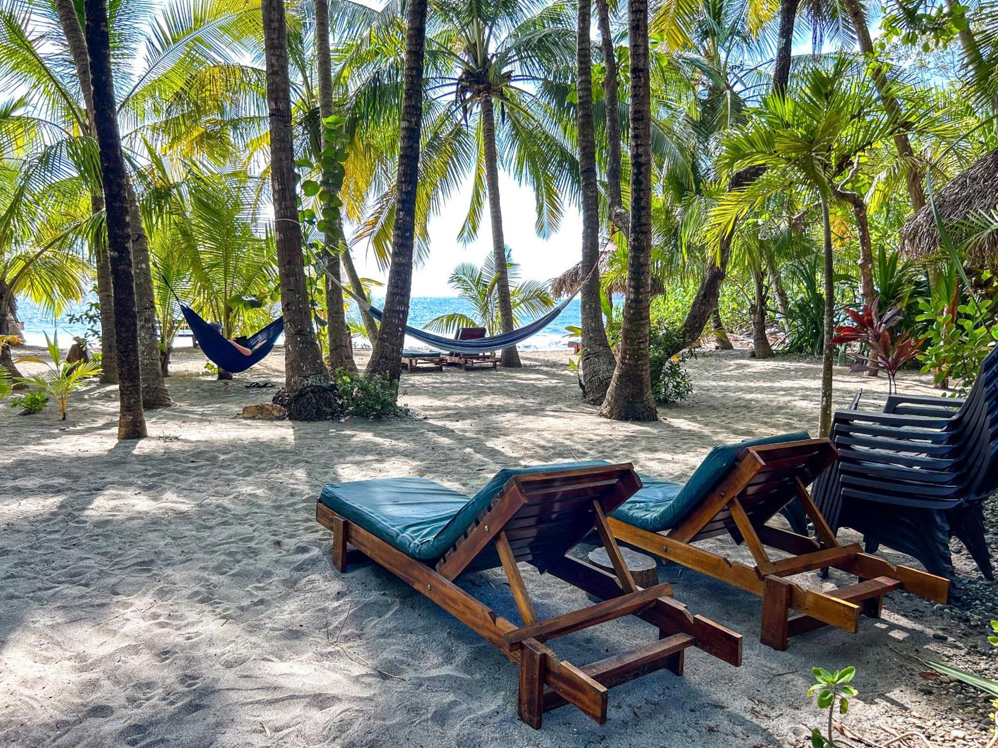 Fenix Hotel - On The Beach Sámara المظهر الخارجي الصورة