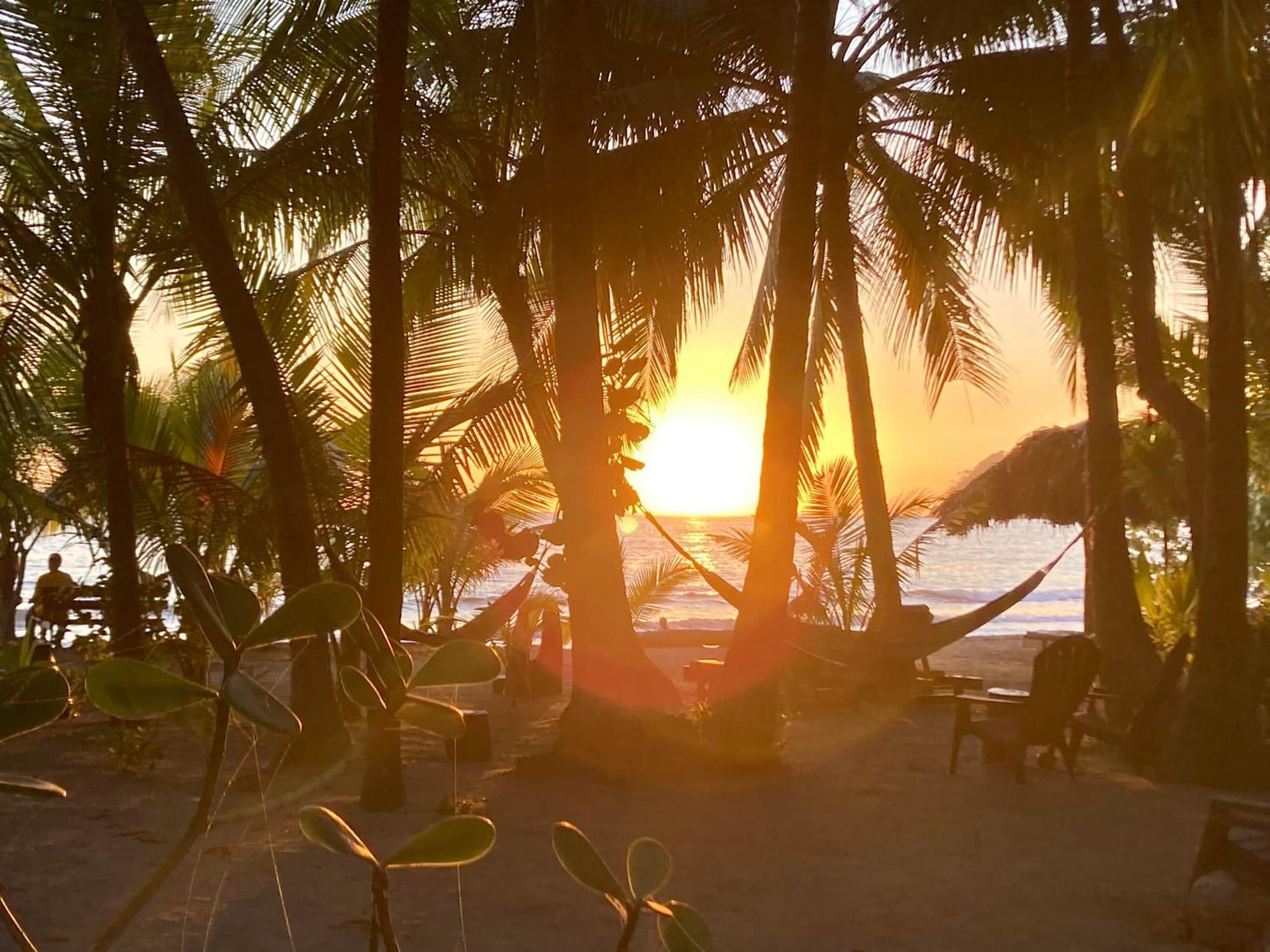 Fenix Hotel - On The Beach Sámara المظهر الخارجي الصورة
